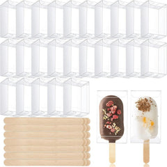 Ice Cream Cakesicle Boxes & Craft Sticks