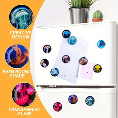12pcs Glass Refrigerator Magnets Jellyfish Fridge Magnets Decorative Magnets