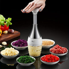 Multifunctional Veg Cutter & Garlic Masher Stainless Steel