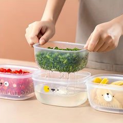 Double Layer Food Storage Box Multifunctional Vegetable Storage