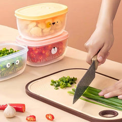 Double Layer Food Storage Box Multifunctional Vegetable Storage