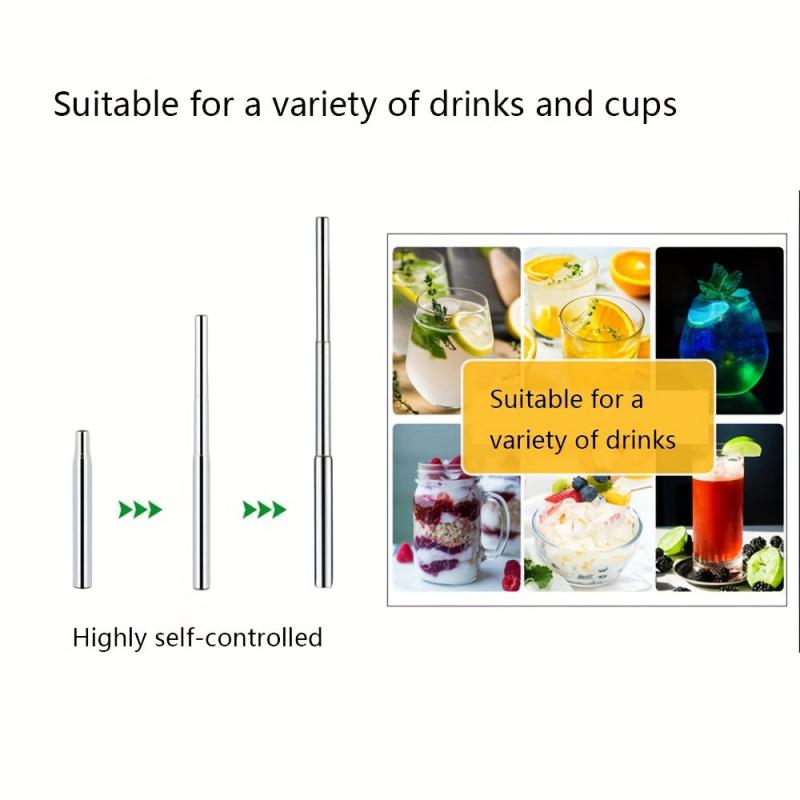 Retractable Stainless Steel Straw with Cleaning Brushes