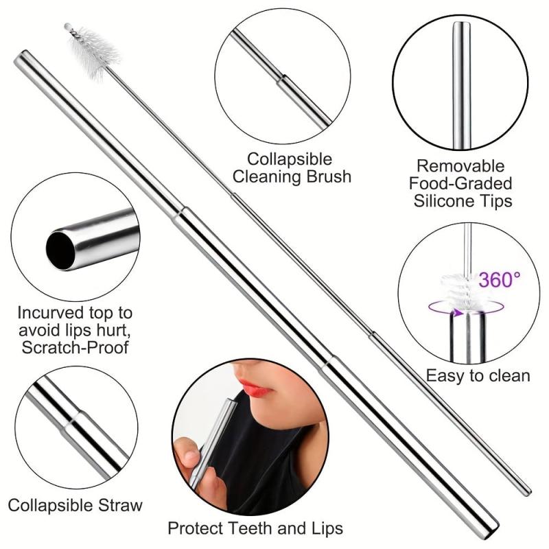 Retractable Stainless Steel Straw with Cleaning Brushes