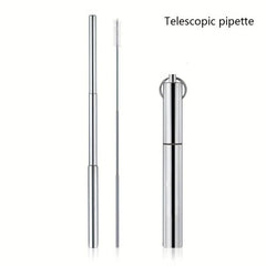 Retractable Stainless Steel Straw with Cleaning Brushes