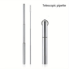 Retractable Stainless Steel Straw with Cleaning Brushes