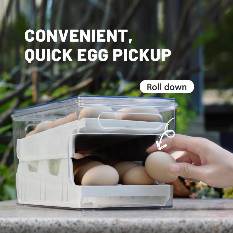 Refrigerator Egg Holder Tray with Lid Clear Countertop Dispenser Fridge Egg Tray