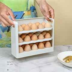 Refrigerator Egg Storage Box Side Door Egg Tray Anti-fall Kitchen Egg Rack