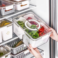 Refrigerator Storage And Draining Box Food Preservation