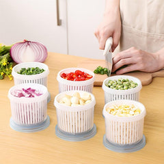 Double Layer Vegetables Sealed Keeper Fresh Storage Box Refrigerator Use