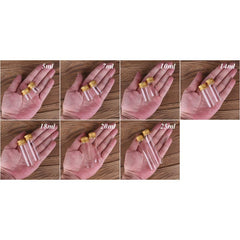 10pcs Glass Bottles With Golden Aluminium Lids Small Mini Glass Jars
