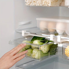 Refrigerator Storage Hanging Box for Vegetable and Fruit with Adjustable Buckle