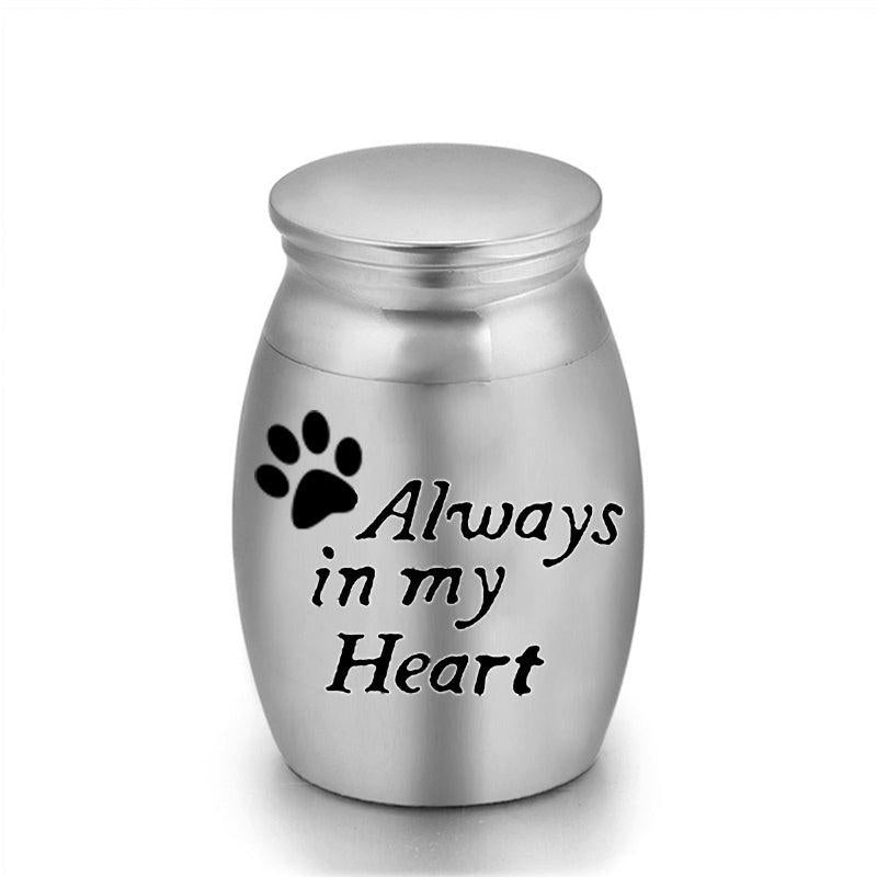 6pcs Small Pet Ashes Urn Stainless Steel Keepsake Always In My Heart