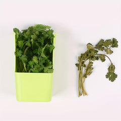 BPA-Free Herb Keeper with Inner Basket, Keeps Herbs Fresh for 3x Longer