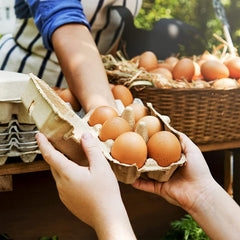 10 Pcs Egg Tray Holder Bulk Paper Egg Cartons Holds 6 Count Eggs