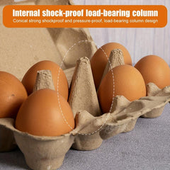 10 Pcs Egg Tray Holder Bulk Paper Egg Cartons Holds 6 Count Eggs