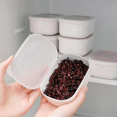 Multigrain Lunch Box Fresh Keeping Box for Teenagers and Workers