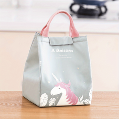 Insulated Lunch Bag for Picnic Large Waterproof Adult Lunch Tot