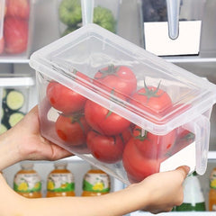 Refrigerator Organizer Box Transparent Container Food Storage