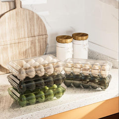 Egg Holder Plastic Storage Box Refrigerator Preservation Egg Tray