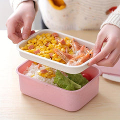 Leak Proof Square Lunch Box with Dual Compartments