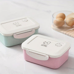 Leak Proof Square Lunch Box with Dual Compartments