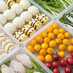 Portable Dumpling Box with Timer and Large Capacity Crisper