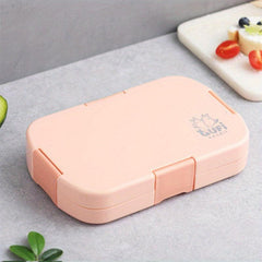 Reusable Cartoon Graphic Divided Lunch Box