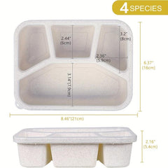 Wheat Straw Lunch Box Rectangle Divided Microwave Bento Box