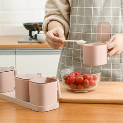 Kitchen Seasoning Box Set Salt Shaker Spice Jar Storage Shelf