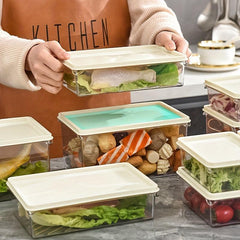 1pc Refrigerator Storage Box Fresh Keeping Box for Fruit Vegetable Eggs