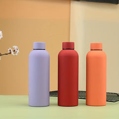 Thermocooler 16.9oz Stainless Steel Tumbler - Hot/Cold Vacuum Flask