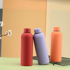 Thermocooler 16.9oz Stainless Steel Tumbler - Hot/Cold Vacuum Flask