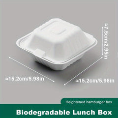 10pcs Compostable Flip Lid Burger Takeout Containers