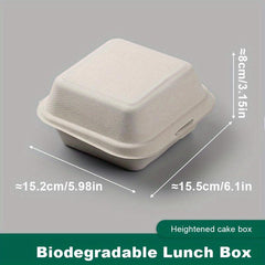 10pcs Compostable Flip Lid Burger Takeout Containers
