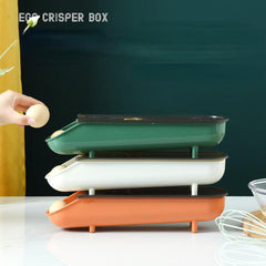 12-Grid Plastic Egg Storage Box for Kitchen and Fridge