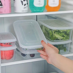 Refrigerator Storage Box for Fresh Food Fruit Vegetable Crisper