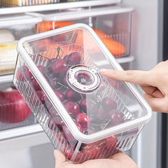 3pcs Plastic Refrigerator Storage Boxes Fresh Keeping Transparent