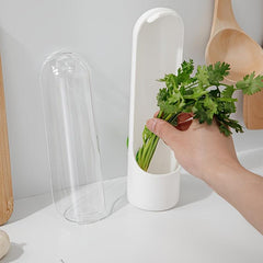 Vegetable Preservation Cup Vanilla Storage