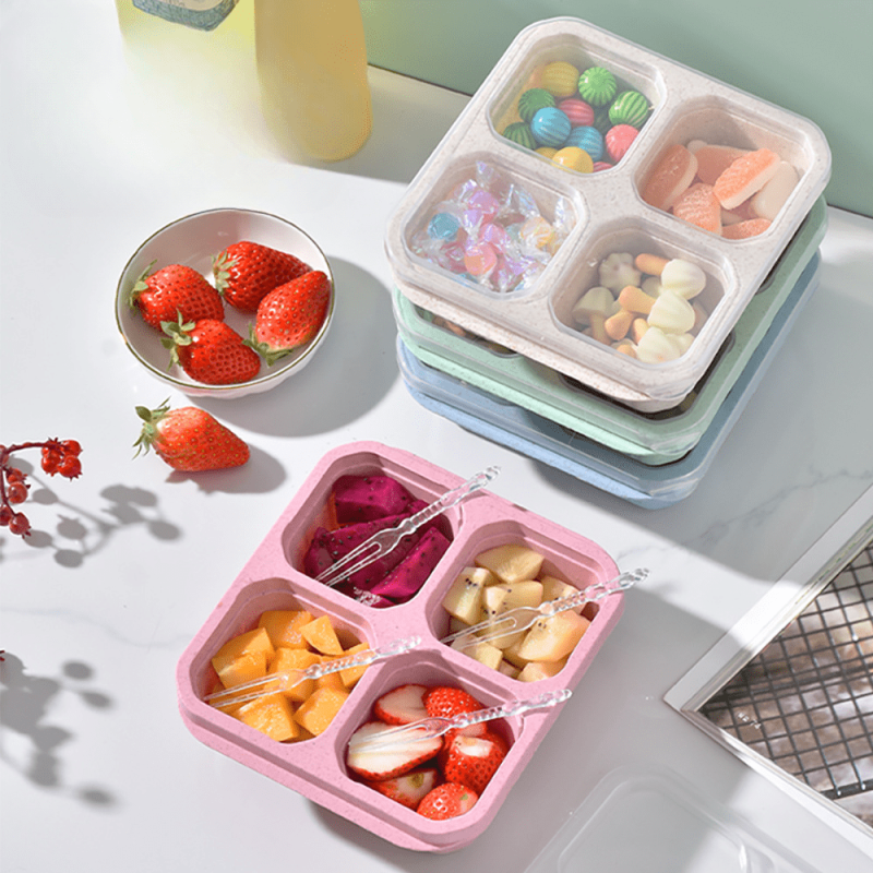 4 Compartment Reusable Lunchable Containers for Teens