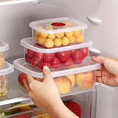 3pcs Plastic Crisper Boxes for Fruit Vegetable Meat Storage