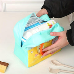 Insulated Lunch Bag Waterproof Leakproof Reusable