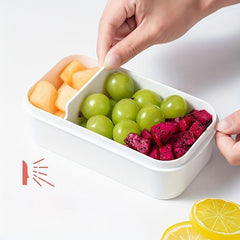 Japanese Style Divided Bento Box Microwave Safe Lunch Box for One Person