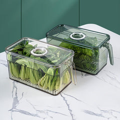 Large Capacity Multipurpose Kitchen Organizer with Handle