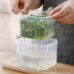 Detachable Refrigerator Storage Box with Lid - Fresh Keeping for Fruits