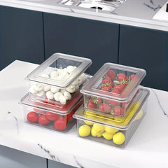 Plastic Refrigerator Storage Box Fresh Keeping Box for Fruits and Vegetables