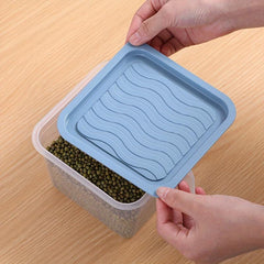 1pc Plastic Storage Box Refrigerator Fruit Vegetable Crisper Dumpling Meat Egg