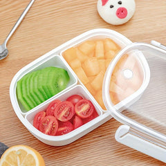 Compartmentalized Bento Box for Work Travel and School