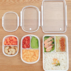 Compartmentalized Bento Box for Work Travel and School