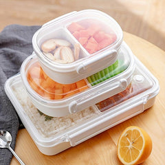 Compartmentalized Bento Box for Work Travel and School