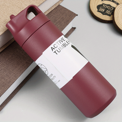 Stainless Steel Insulation Cup with Straw and Handle for Outdoor Use